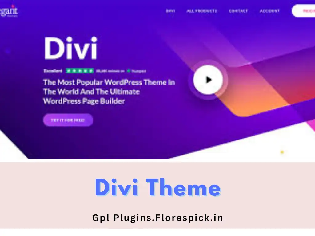 Divi Theme - Gpl Plugins