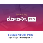 Elementor Pro Free Download - gpl plugins